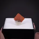 Vanadinite ps. Wulfenite - image 2