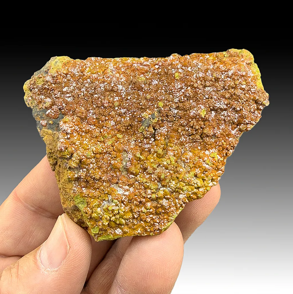 Vanadinite-Pyromorphite image