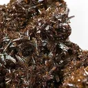 Vanadinite (Var: Endlichite) - image 2
