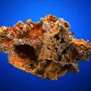 Vanadinite var. Endlichite - image 4