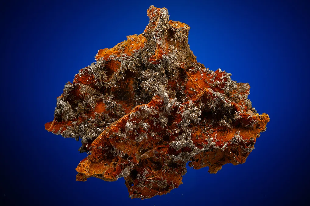Vanadinite var. Endlichite image