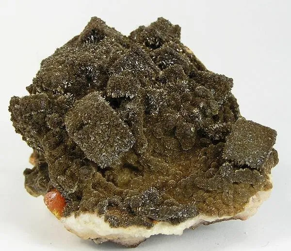 Vanadinite (Var: Endlichite), Wulfenite image