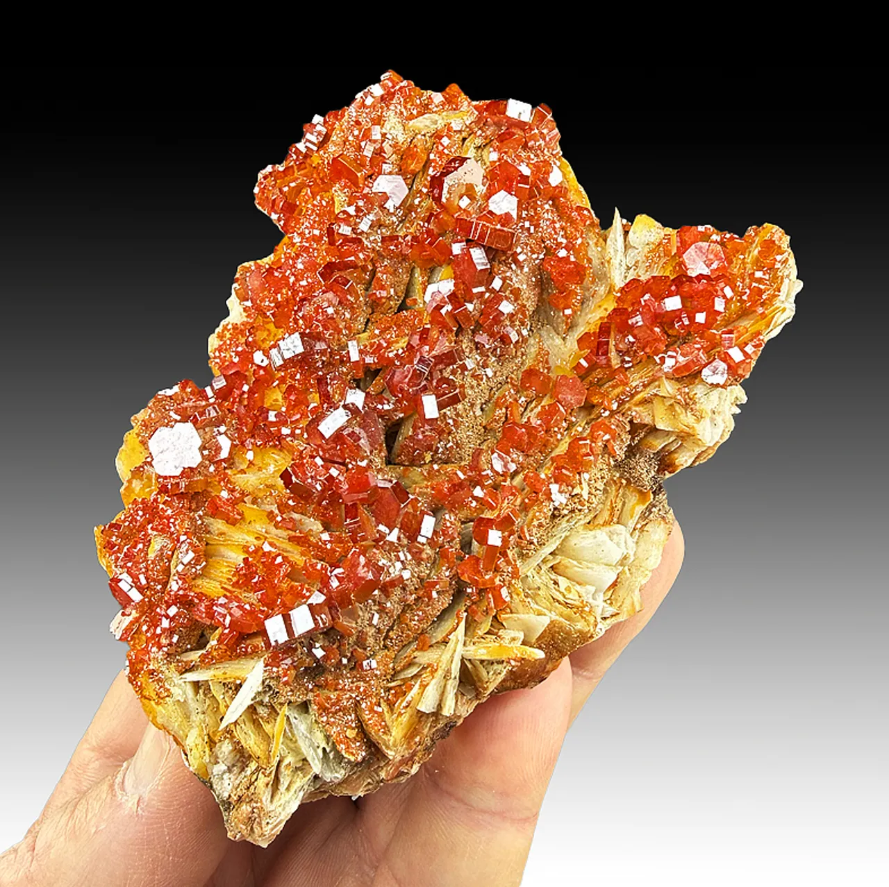 Vanadinite with Barite - image 1