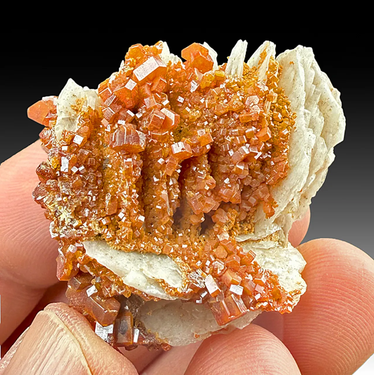 Vanadinite with Barite - image 1