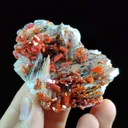 Vanadinite with barite,calcite & goethite from Maroc, Région Drâa-Tafilalet, Province de Midelt, District minier de Mibladen, Mibladen - image 2