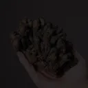 Vanadinite with Descloizite - image 2