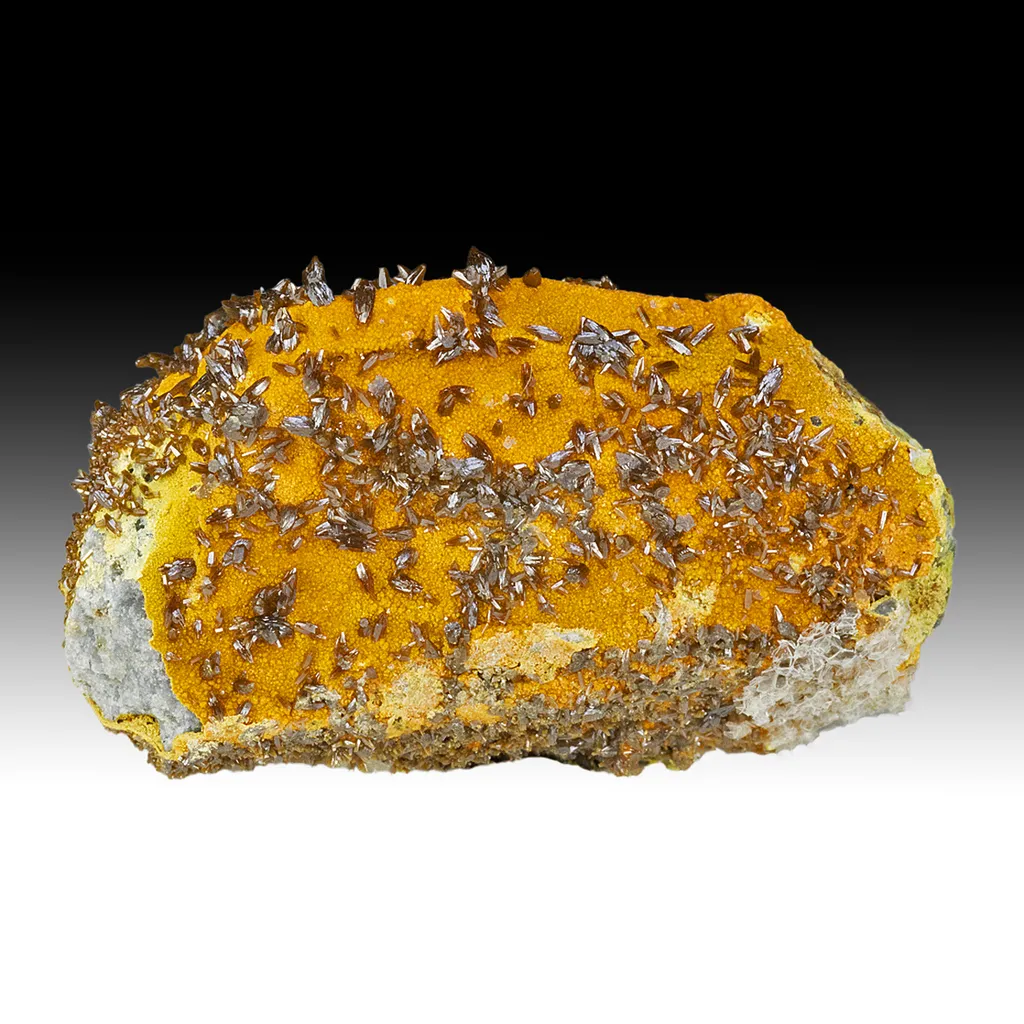 Vanadinite with Descloizite image