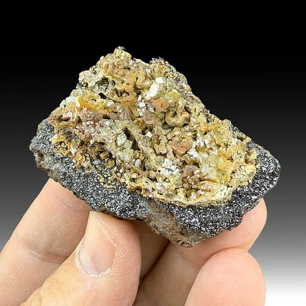 Vanadinite with Descloizite image