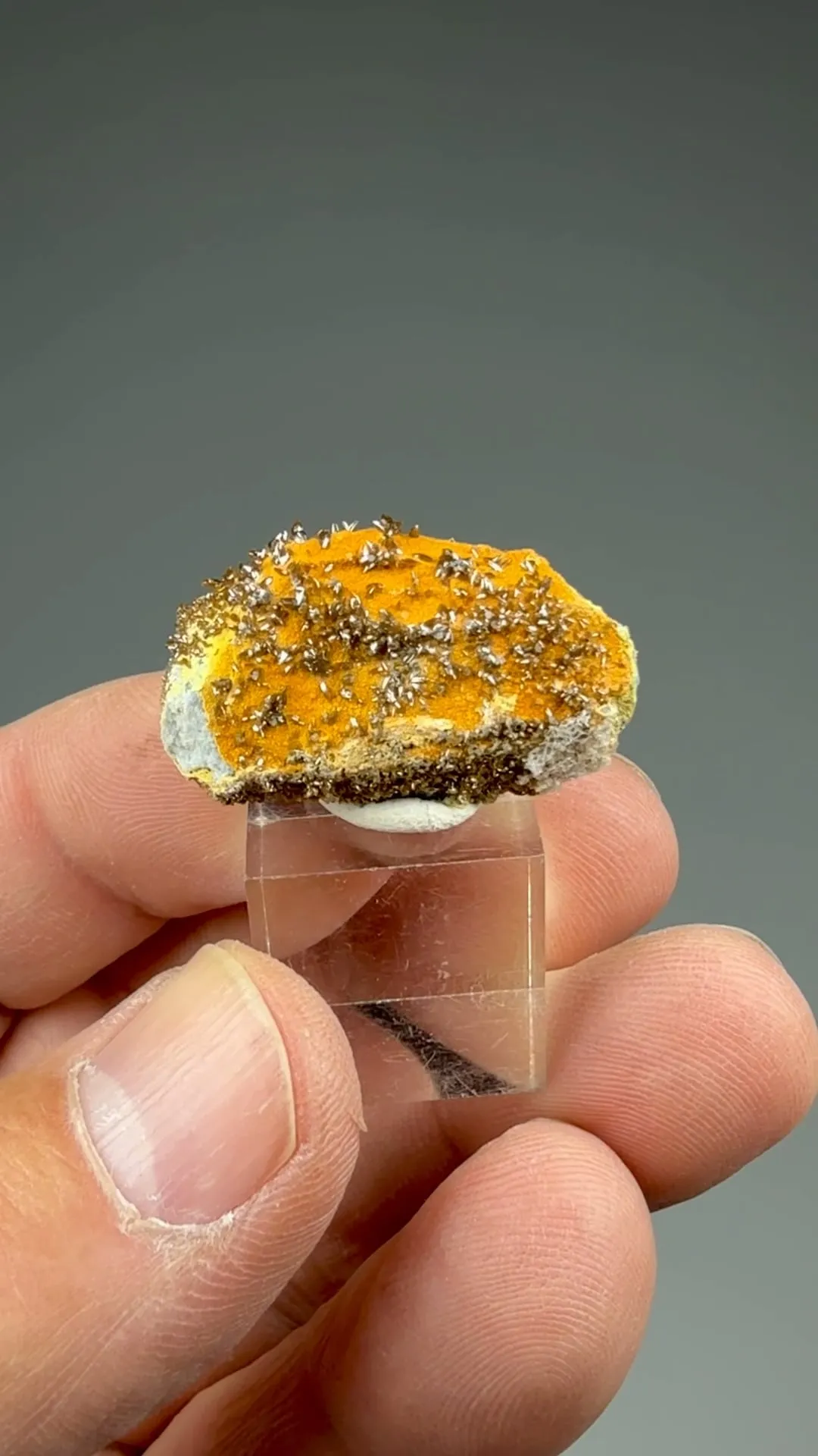 Vanadinite with Descloizite - image 2