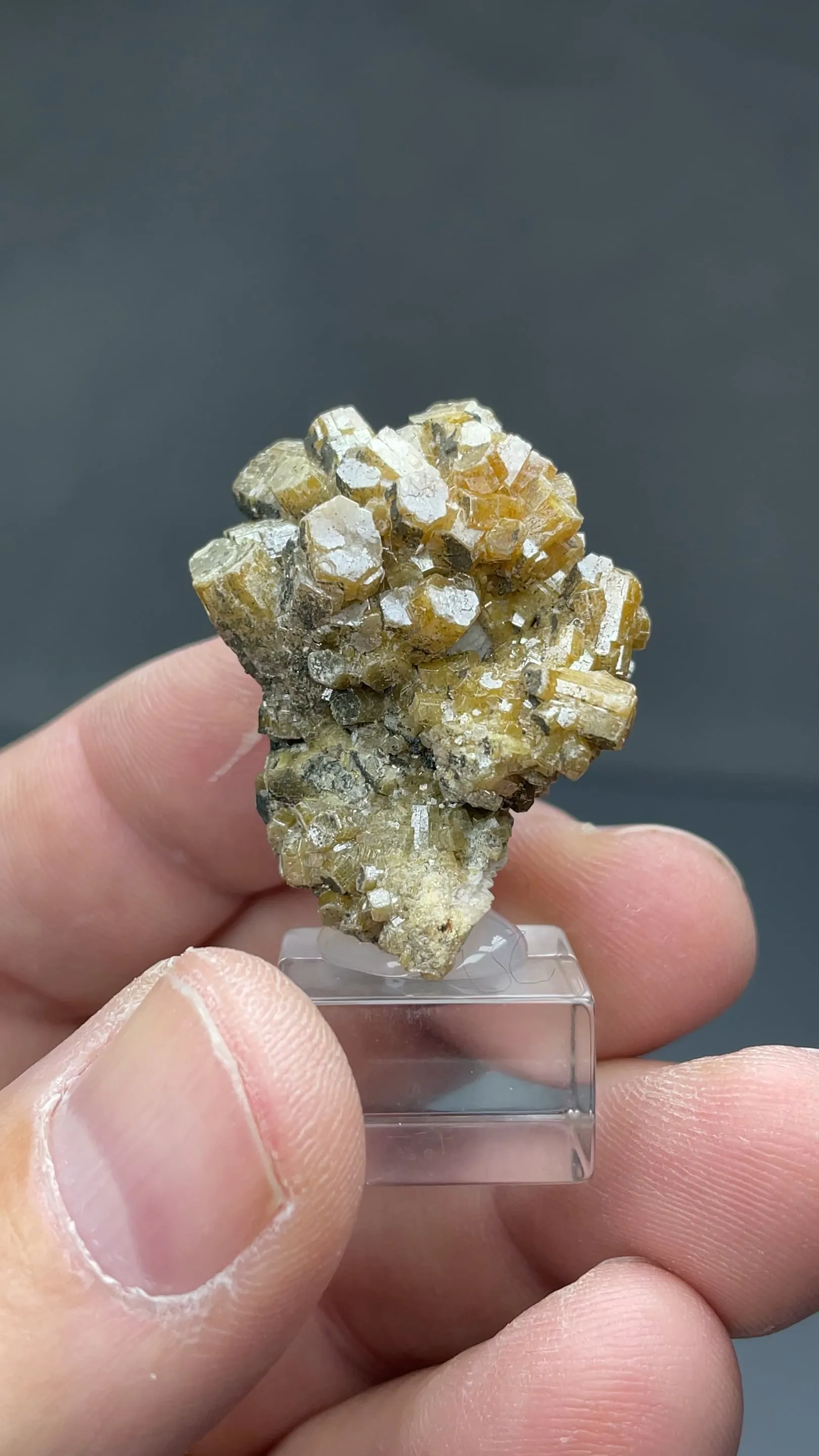 Vanadinite with Mottramite - image 2