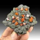 Vanadinite with Pyrolusite, Coronadite - image 1