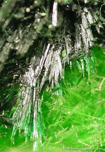Vandenbrandeite on Cuprosklodowskite - image 4