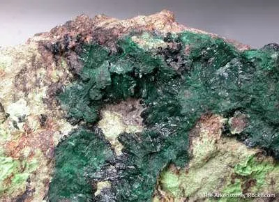 Vandenbrandeite With Cuprosklodowskite image