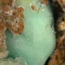 Variscite - image 2