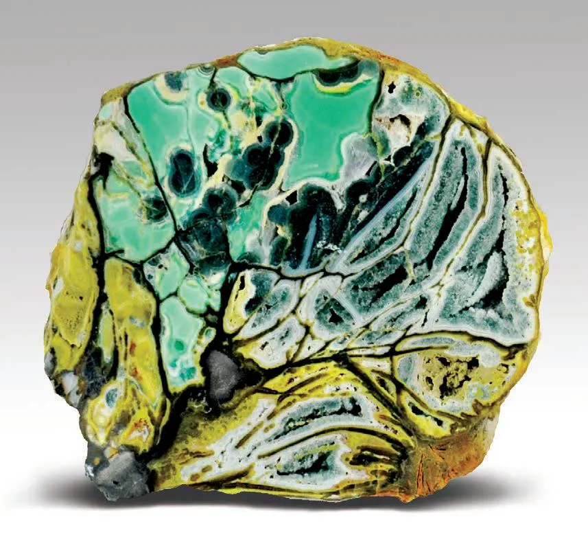 Variscite, crandallite image