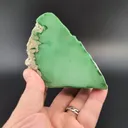 specimen video