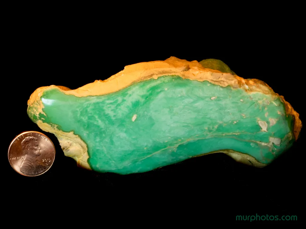 Variscite from Utah image