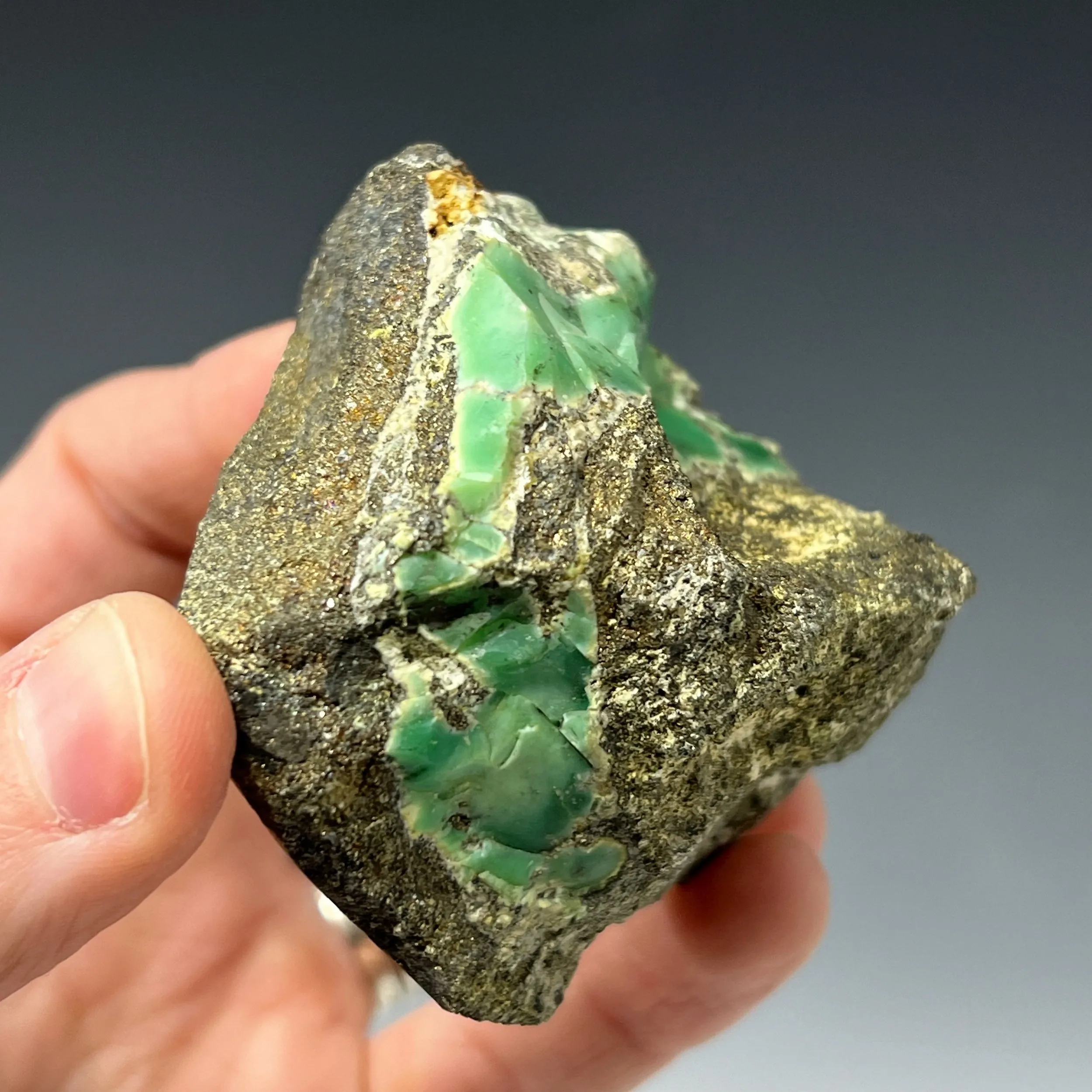 Variscite on Pyrite - image 2