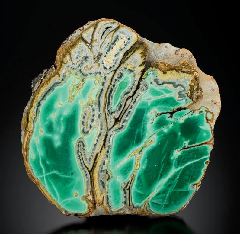 Variscite, Wardite, crandallite image