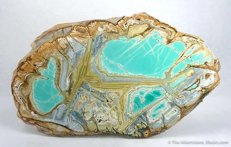 Variscite With Crandalite And Wardite image