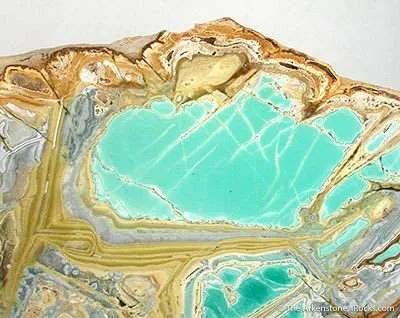 Variscite With Crandalite And Wardite - image 2