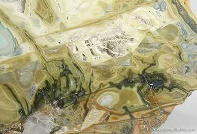 Variscite With Crandalite And Wardite - image 4