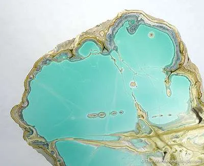 Variscite With Crandalite And Wardite - image 2