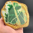 Variscite with Crandallite - image 1