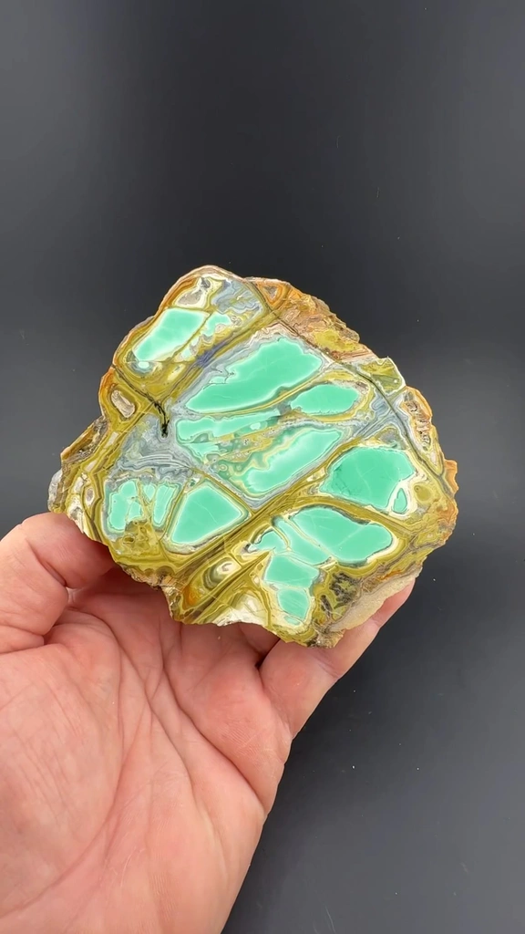 Variscite with Crandallite - image 2