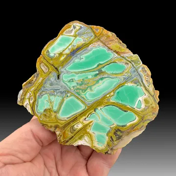 Variscite with Crandallite