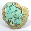Variscite With Montgomeryite (Tl), Crandalite And Wardite (Tl) - image 2