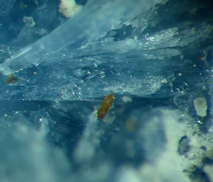 Vauxite, Paravauxite, Childrenite - image 2