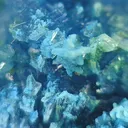 Vauxite, Paravauxite - image 3