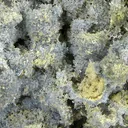 Vauxite, Paravauxite, Metavauxite - image 3