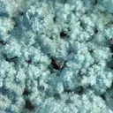 Vauxite, Paravauxite, Metavauxite - image 2
