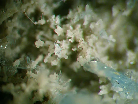 Vauxite, Paravauxite, Metavauxite - image 4