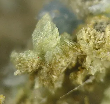 Vauxite, Paravauxite, Metavauxite - image 3