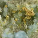 Vauxite, Paravauxite, Metavauxite - image 3