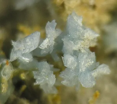 Vauxite, Paravauxite, Metavauxite - image 2
