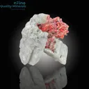 Vayrynenite - image 3