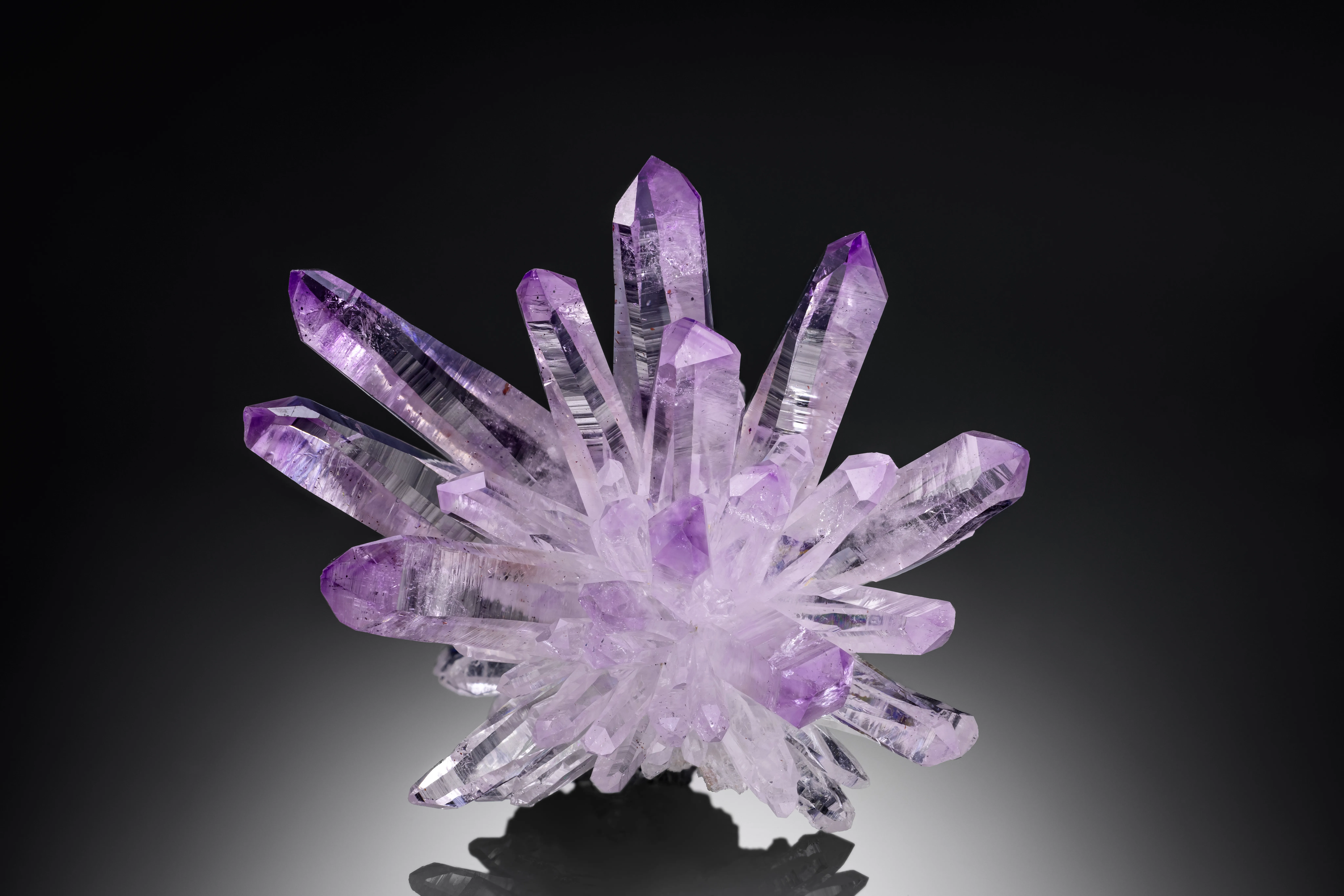 Veracruz Amethyst Flower - image 2