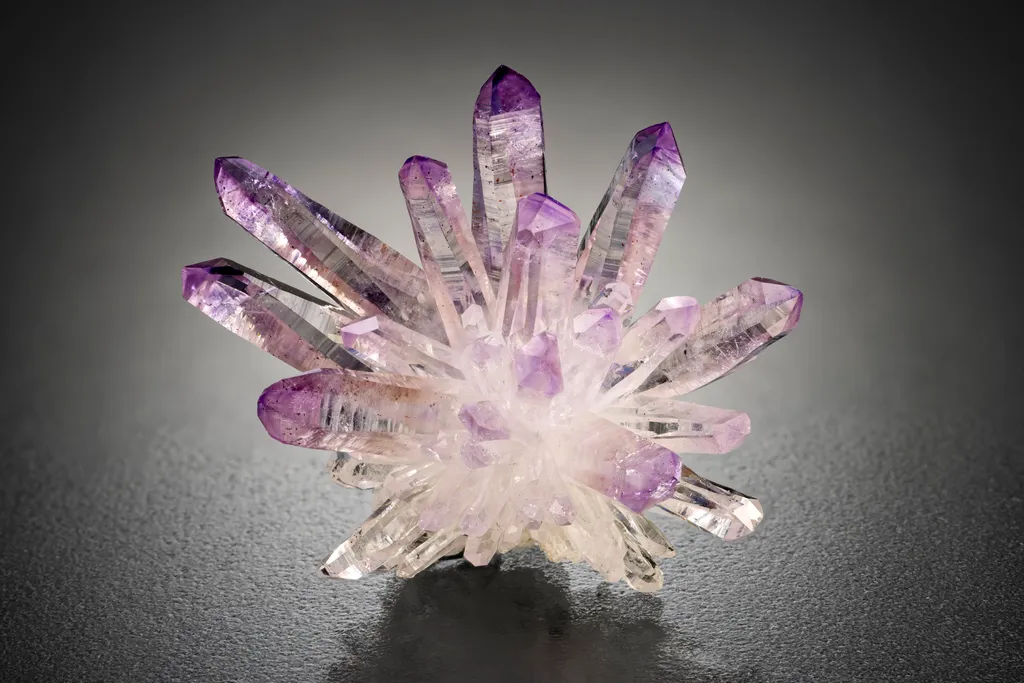 Veracruz Amethyst Flower image