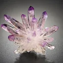 Veracruz Amethyst Flower - image 1