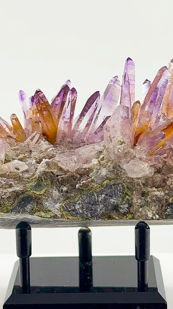 Veracruz Amethyst has a personality all its own. - image 2