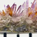 Veracruz Amethyst has a personality all its own. - image 2