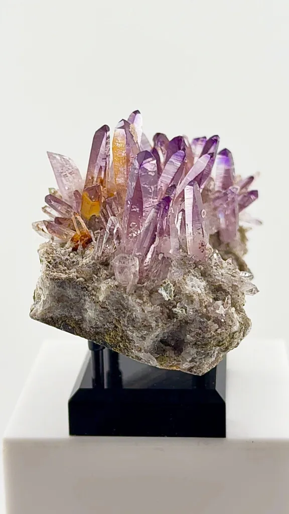 Veracruz Amethyst has a personality all its own. - image 4