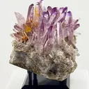 Veracruz Amethyst has a personality all its own. - image 4