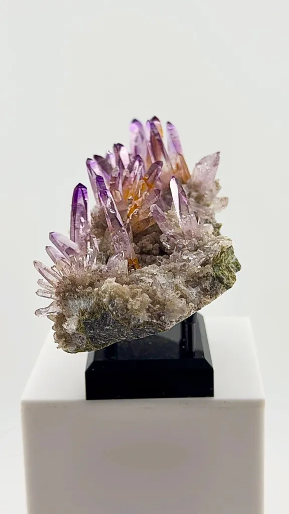 Veracruz Amethyst has a personality all its own. - image 5