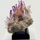 Veracruz Amethyst has a personality all its own. - image 5