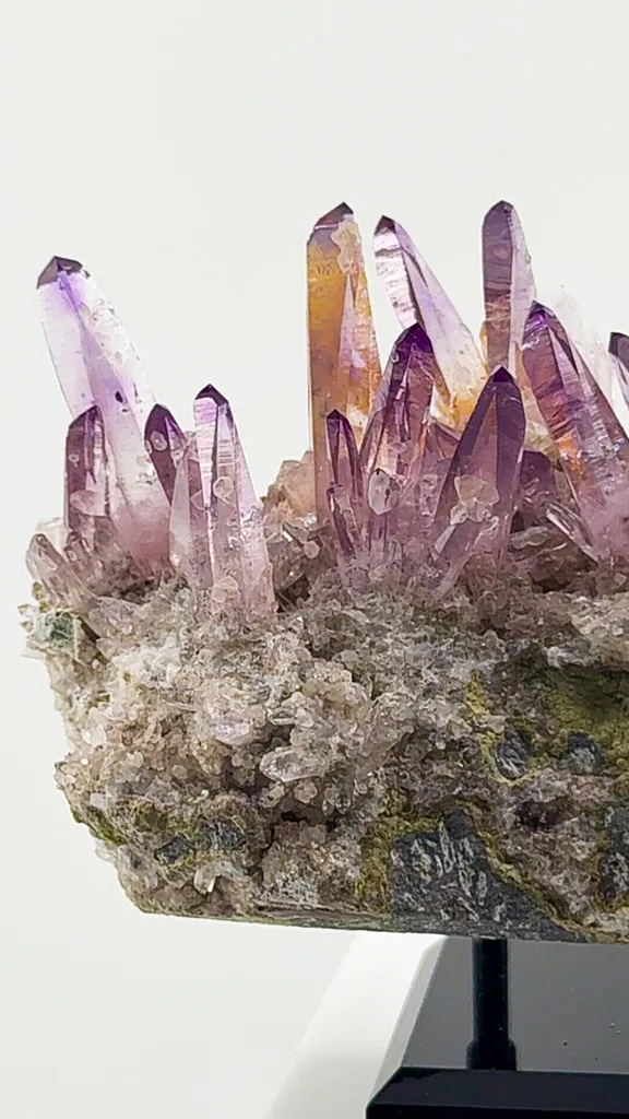 Veracruz Amethyst has a personality all its own. - image 3